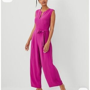 Pink Jumpsuit | Wide-Leg | Ann Taylor | Size 4